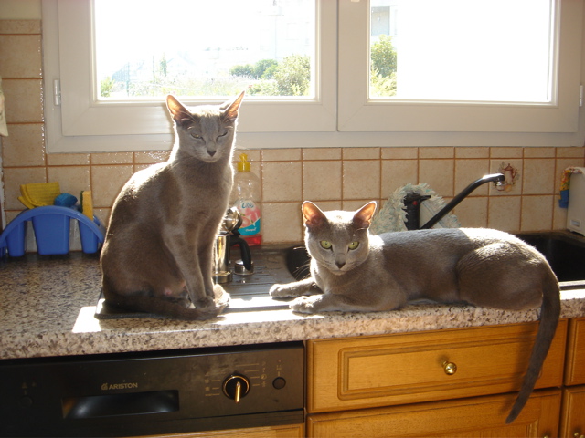 DSC01025.JPG