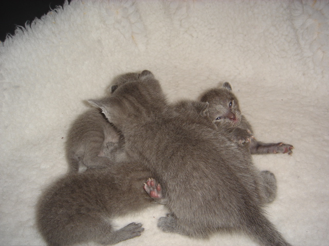 DSC01074.JPG