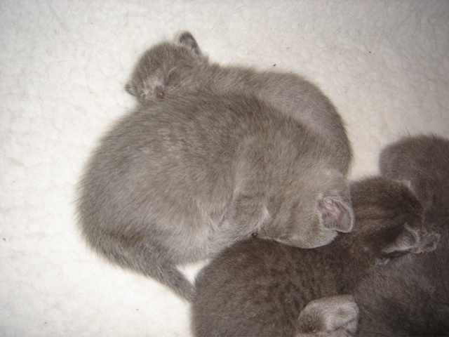 DSC01035.JPG