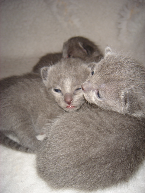 DSC01038.JPG