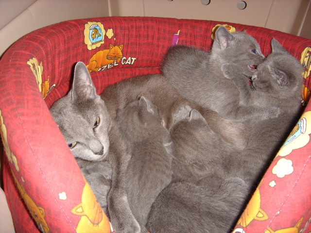 DSC01210.JPG