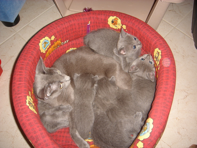 DSC01211.JPG