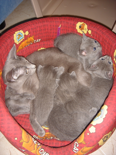 DSC01212.JPG