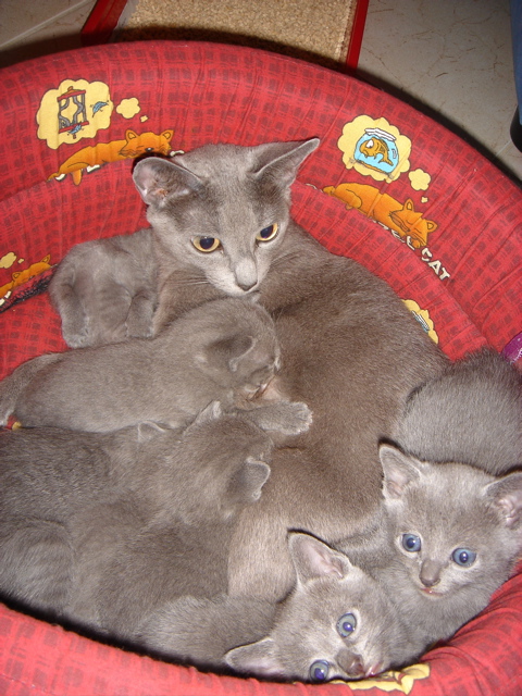 DSC01213.JPG