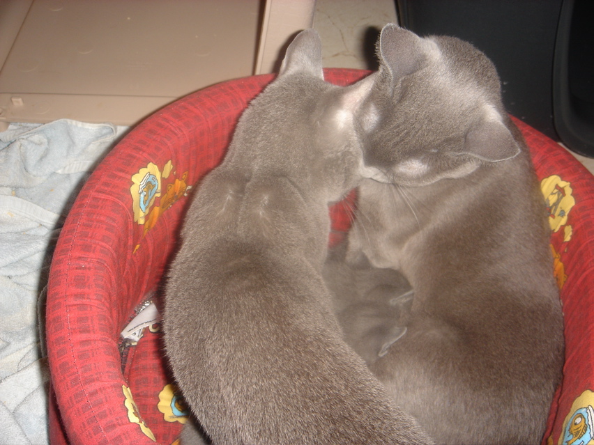 DSC01246.JPG