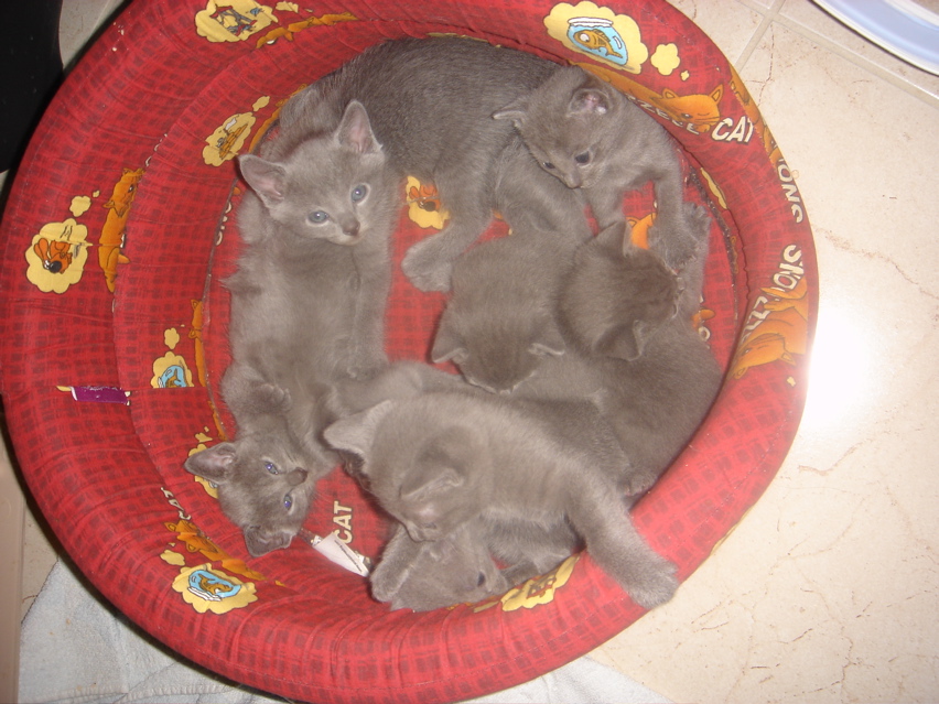 DSC01275.JPG