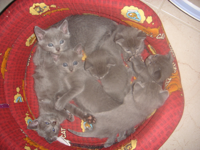 DSC01277.JPG