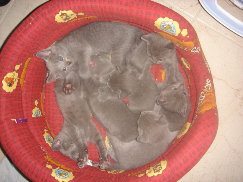 DSC01278.JPG