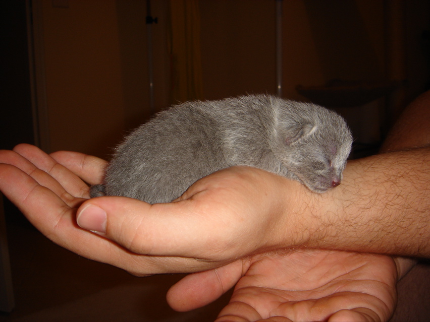 DSC00765.JPG