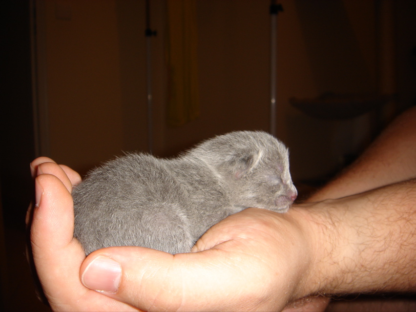 DSC00767.JPG