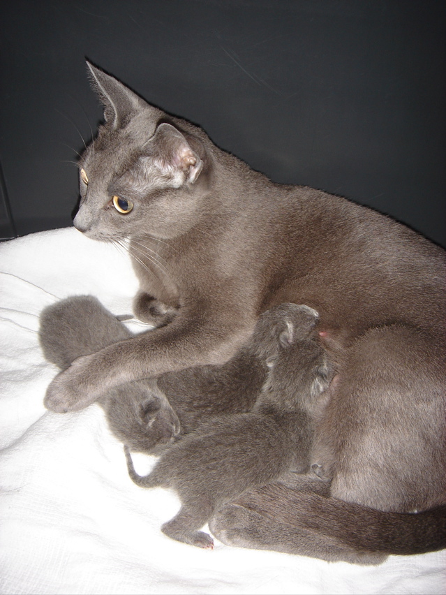 DSC00768.JPG