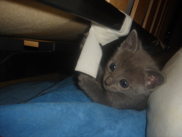 DSC01639.JPG