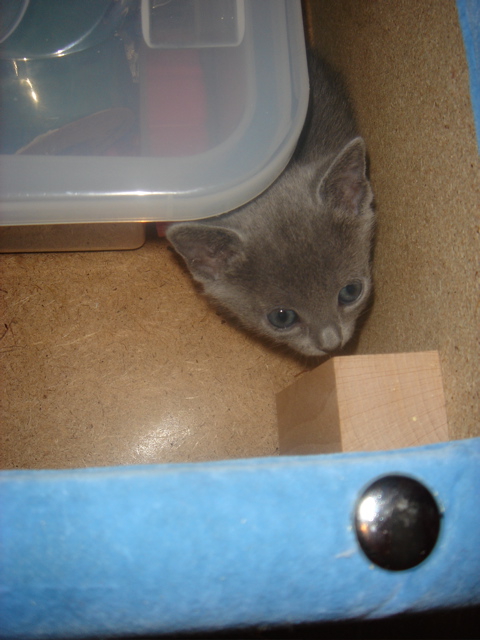 DSC01662.JPG