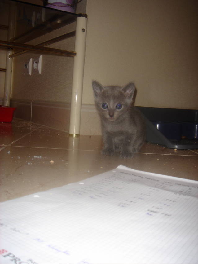 DSC01666.JPG