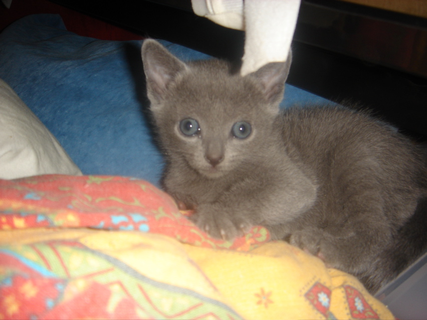 DSC01644.JPG