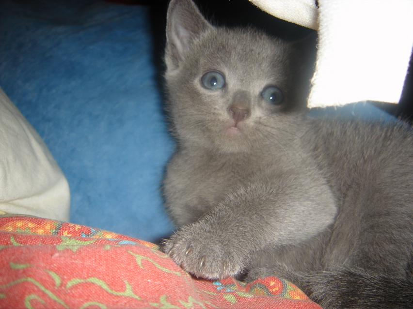 DSC01648.JPG