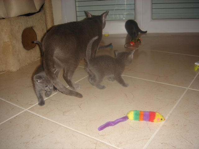 DSC01670.JPG