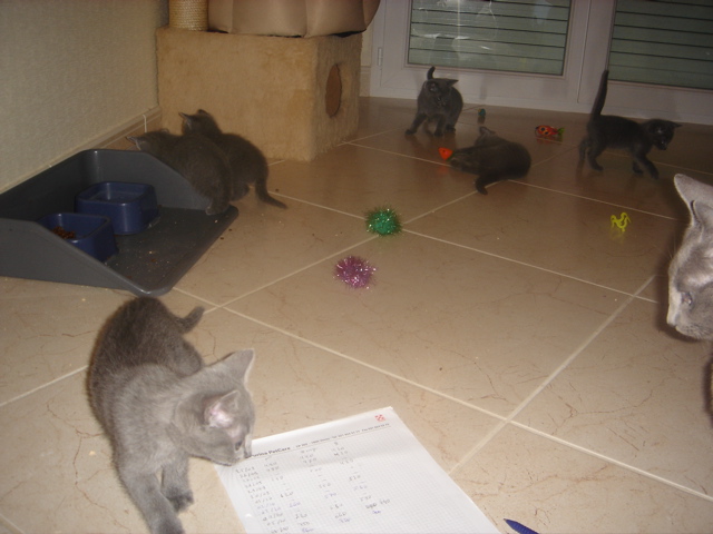 DSC01660.JPG