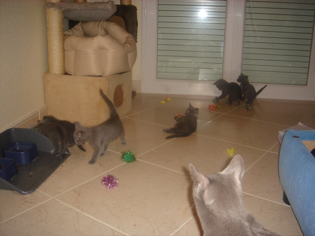 DSC01659.JPG