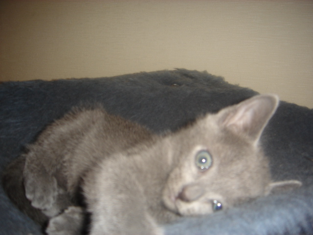 DSC01919.JPG