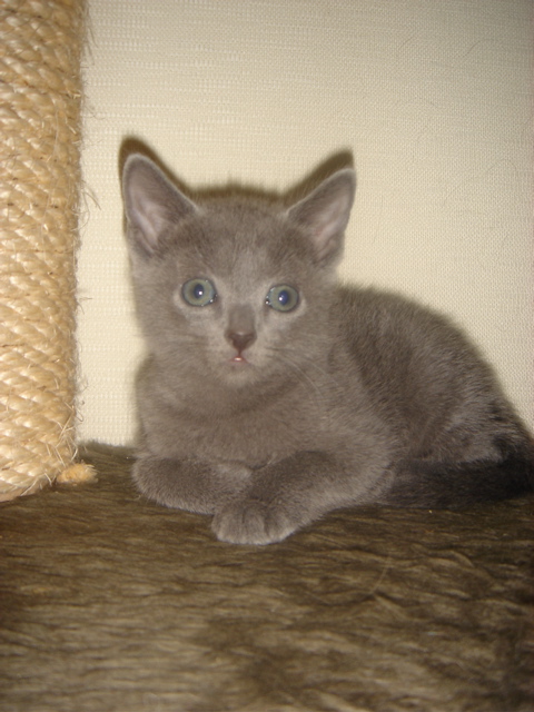 DSC01855.JPG