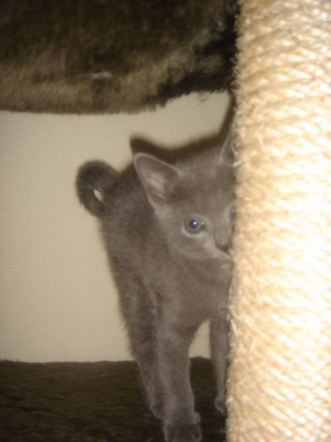 DSC01858.JPG