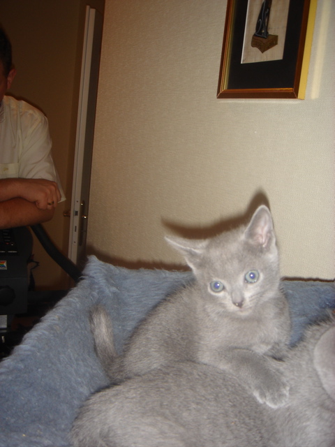 DSC01912.JPG