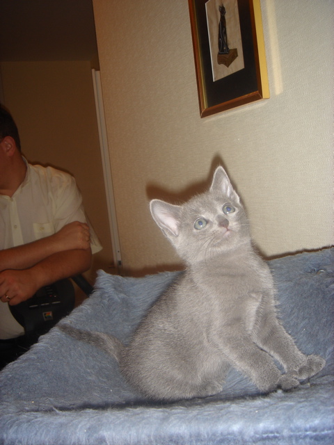 DSC01914.JPG
