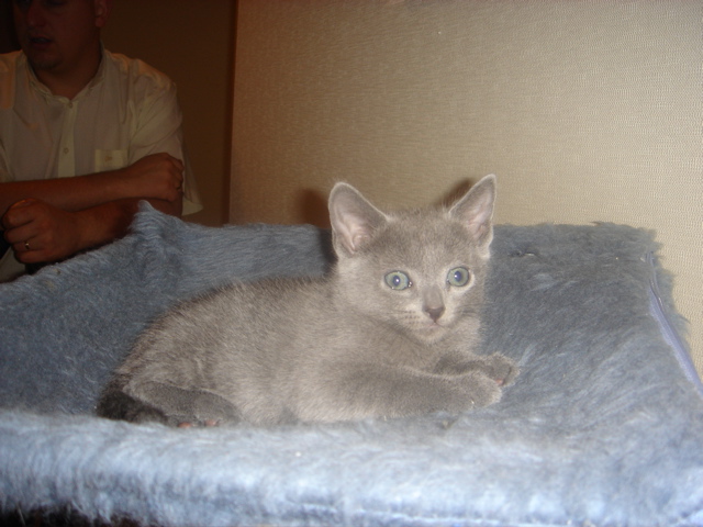 DSC01916.JPG