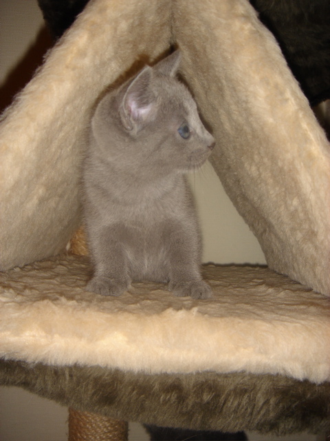 DSC01888.JPG
