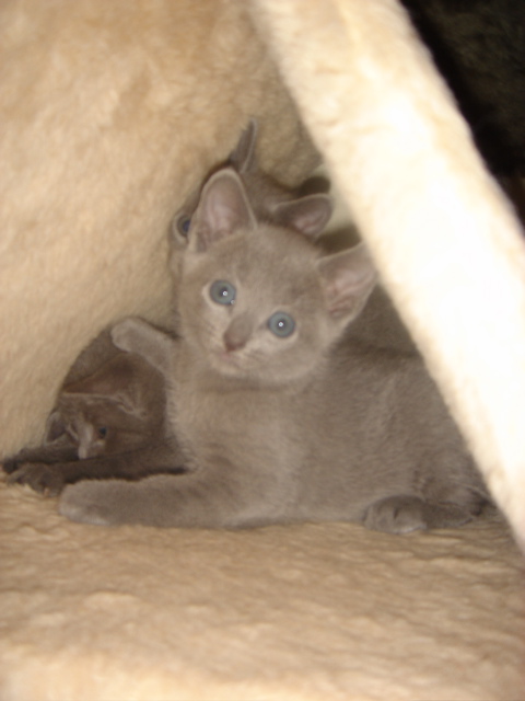 DSC01881.JPG