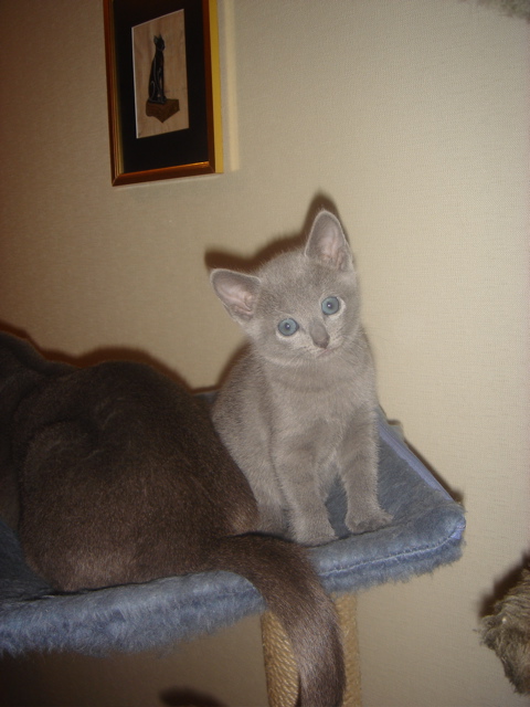DSC01884.JPG