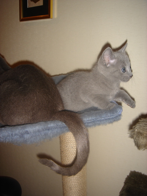 DSC01885.JPG