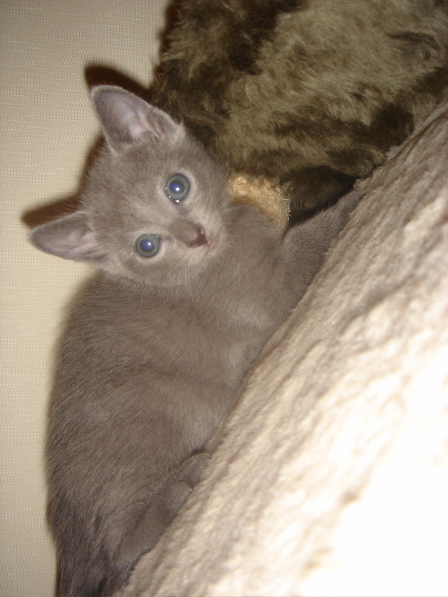 DSC01873.JPG