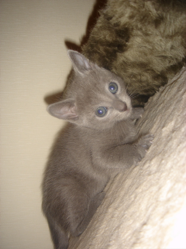 DSC01874.JPG