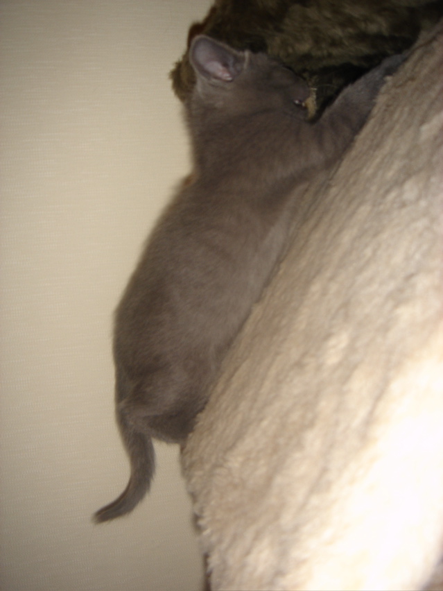 DSC01875.JPG