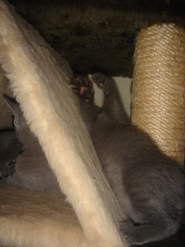 DSC01880.JPG