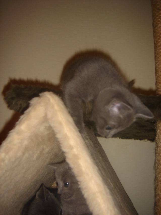 DSC01879.JPG