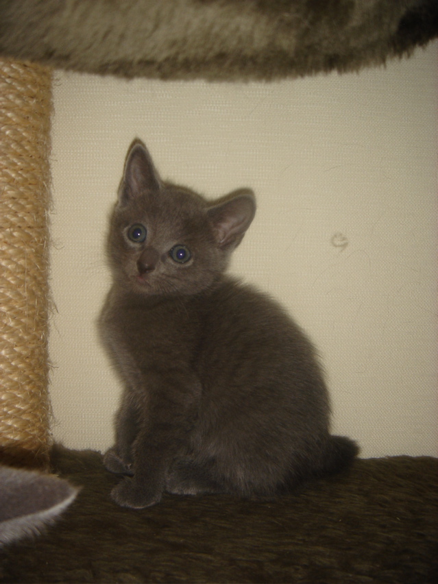 DSC01893.JPG