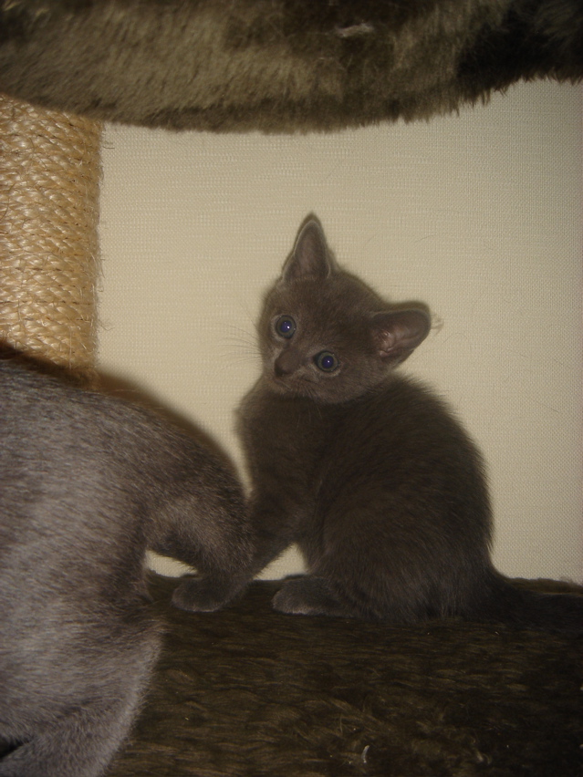 DSC01894.JPG