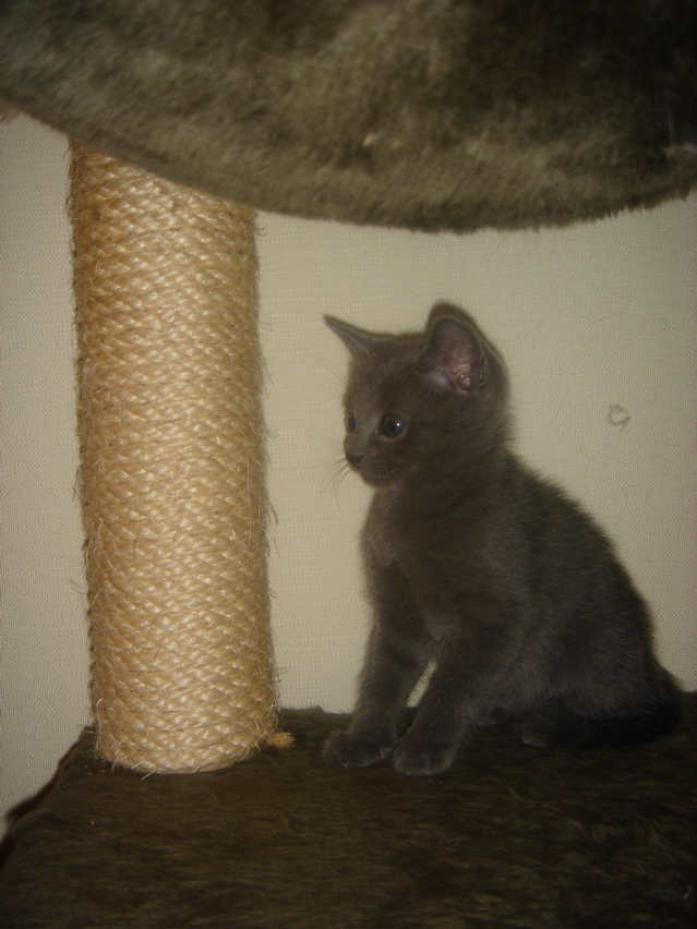 DSC01901.JPG