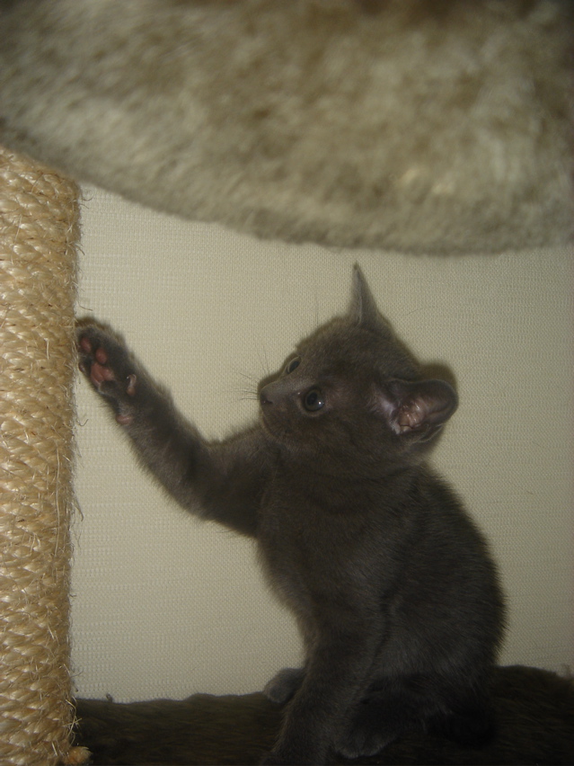 DSC01905.JPG