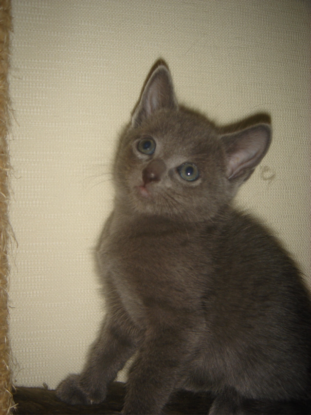 DSC01911.JPG