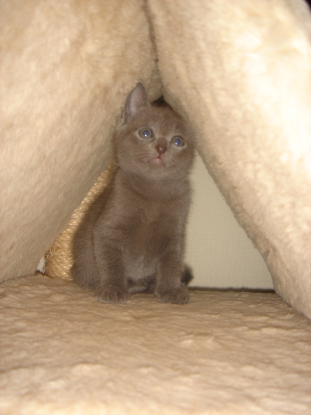 DSC01865.JPG