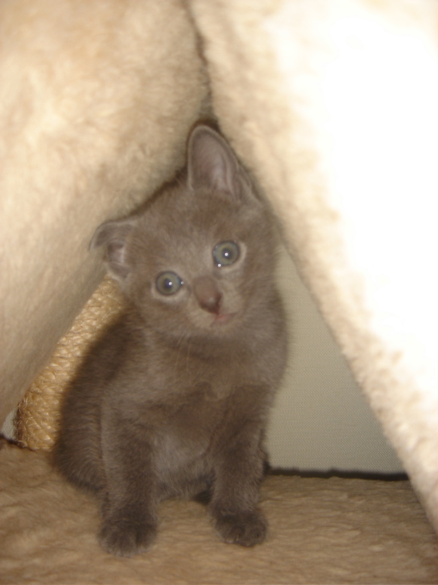 DSC01868.JPG
