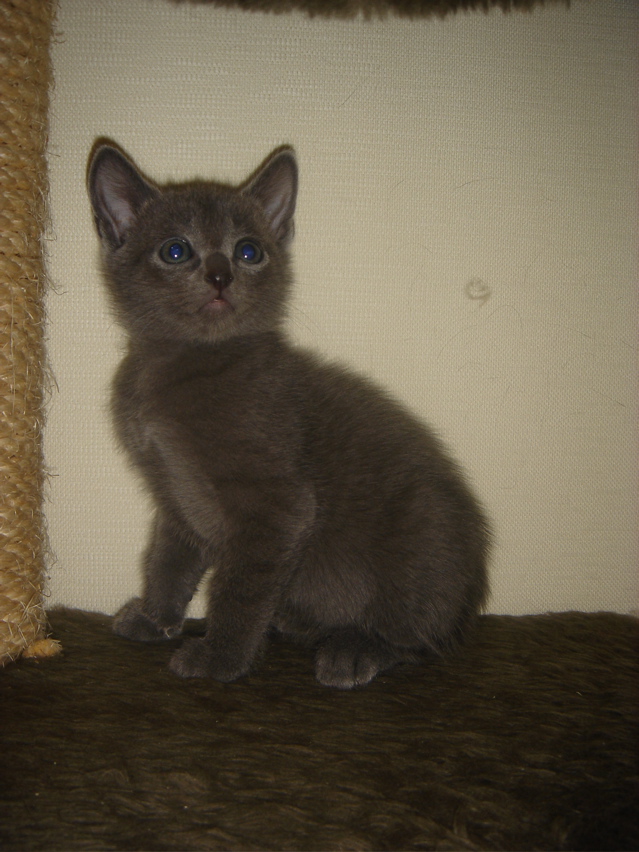 DSC01889.JPG