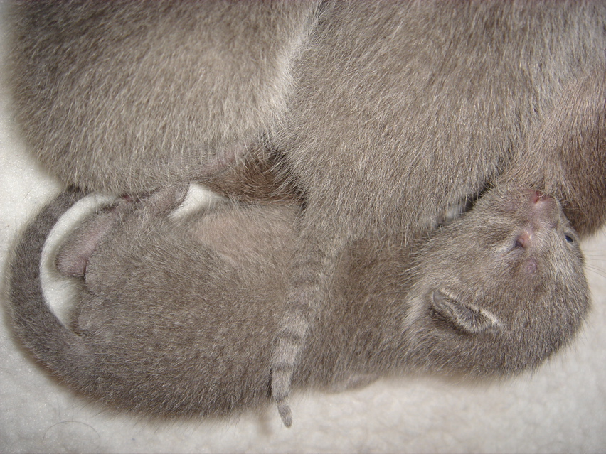 DSC00857.JPG