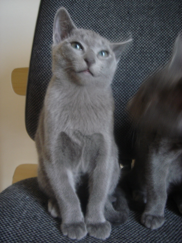DSC02454.JPG