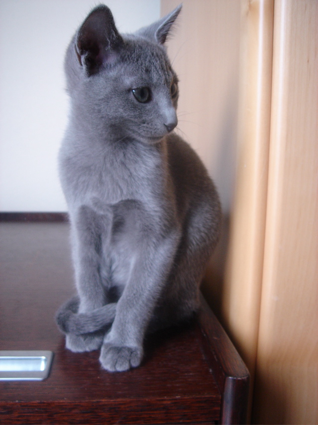DSC02450.JPG