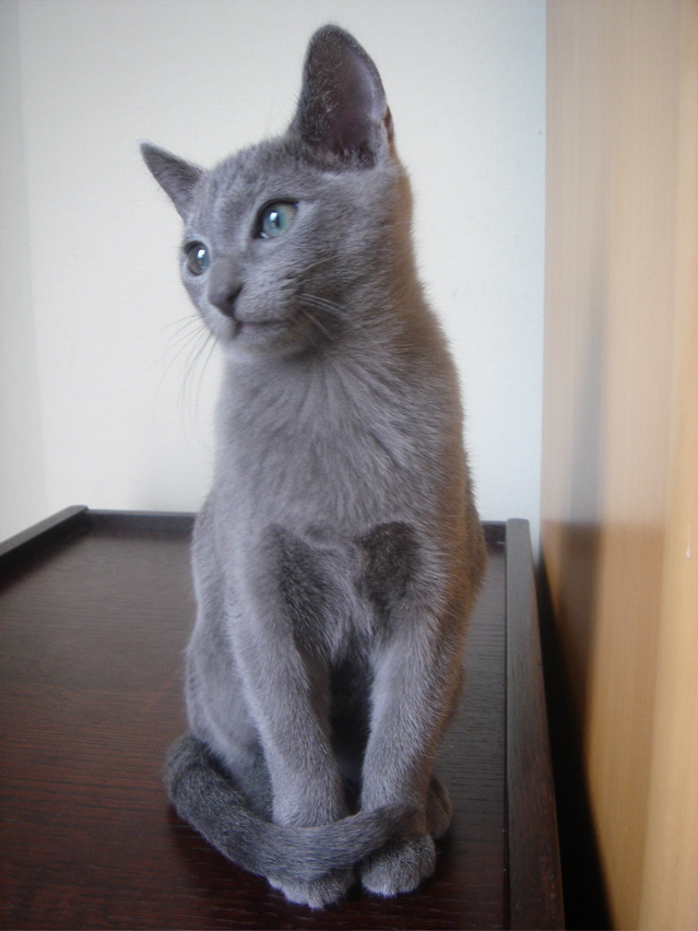 DSC02438.JPG